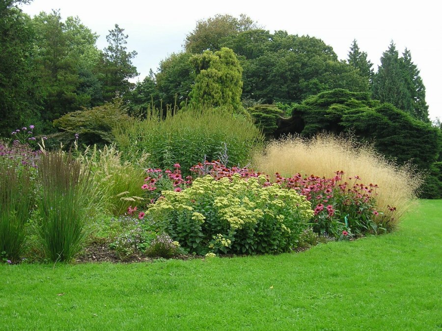 Пит Удольф ландшафт