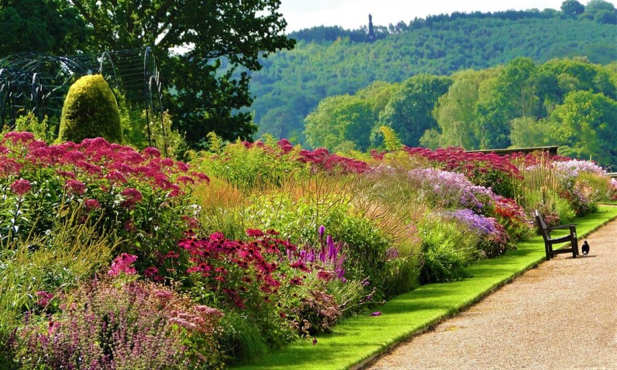 Питер Удольф ландшафт