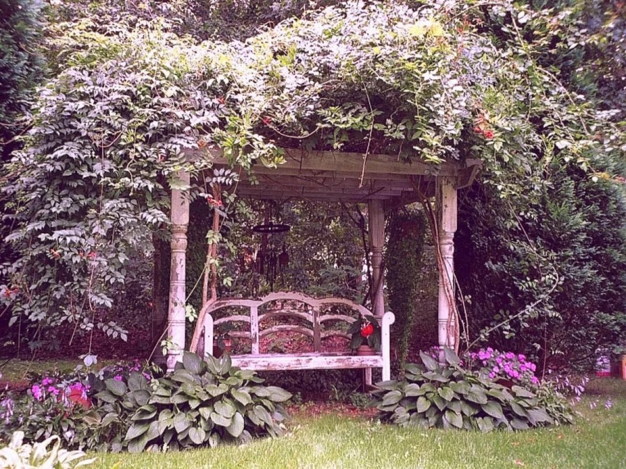 Перголы беседки в английском саду