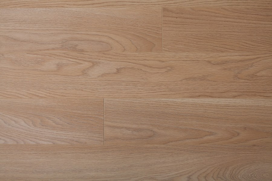 54706 Ламинат Classen Discovery 4v verden Oak Snow 1,624 м2