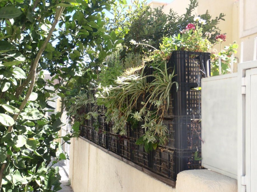 Заборчик из пластиковых ящиков