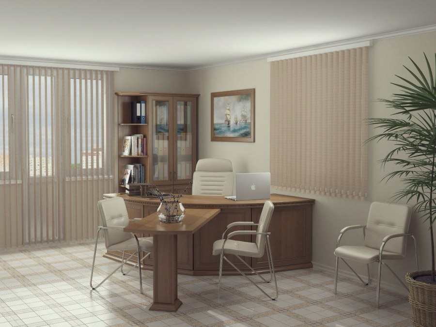 Дизайнерский кабинет руководителя