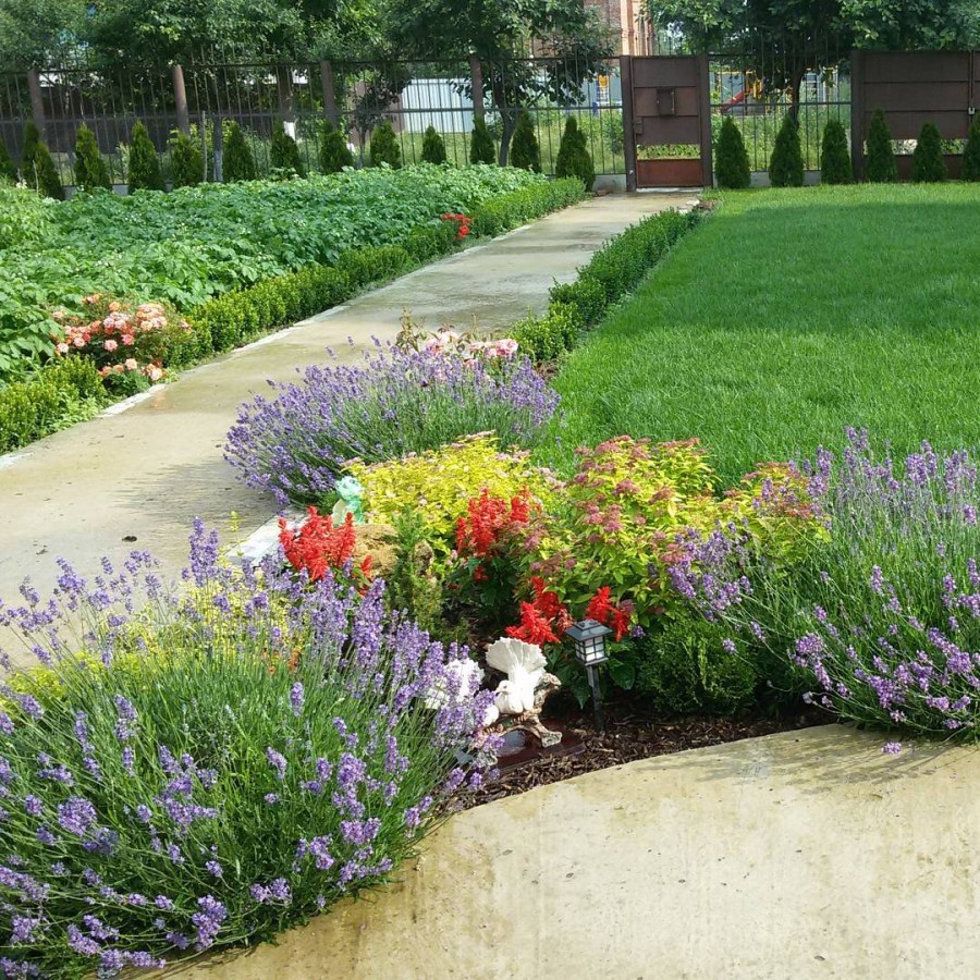 Цветник на газоне