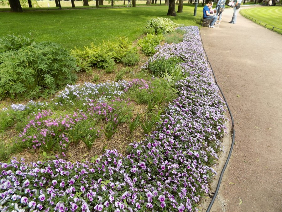 Бордюр между газоном и клумбой