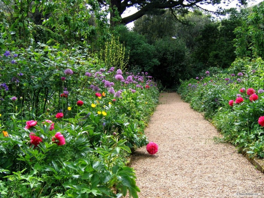 Зеленая изгородь Цветущая