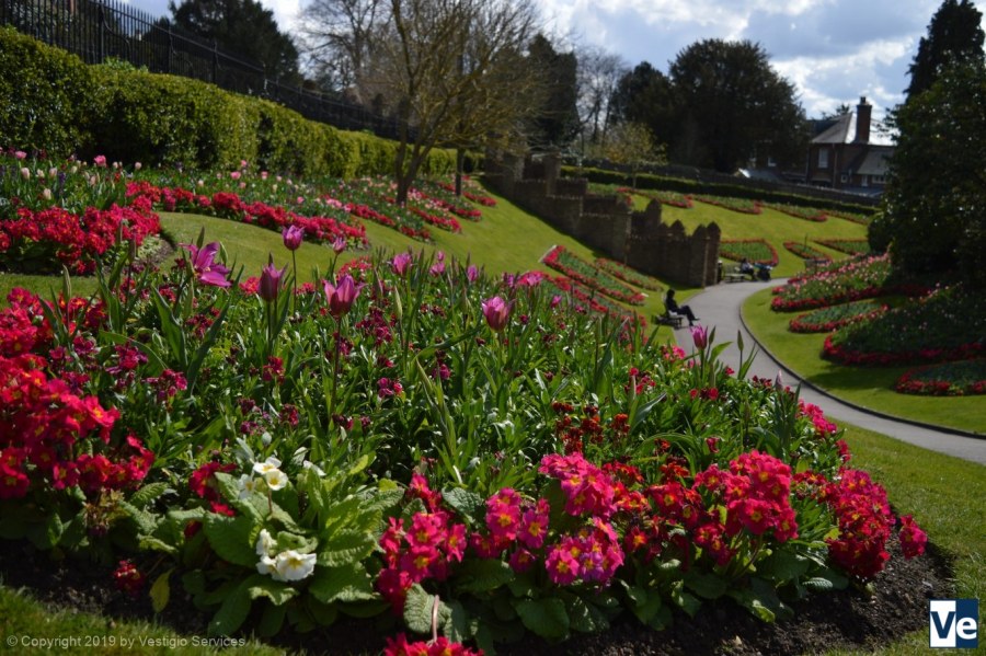 Красота на 6 сотках