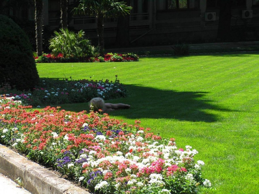 Мшанка на альпийской Горке