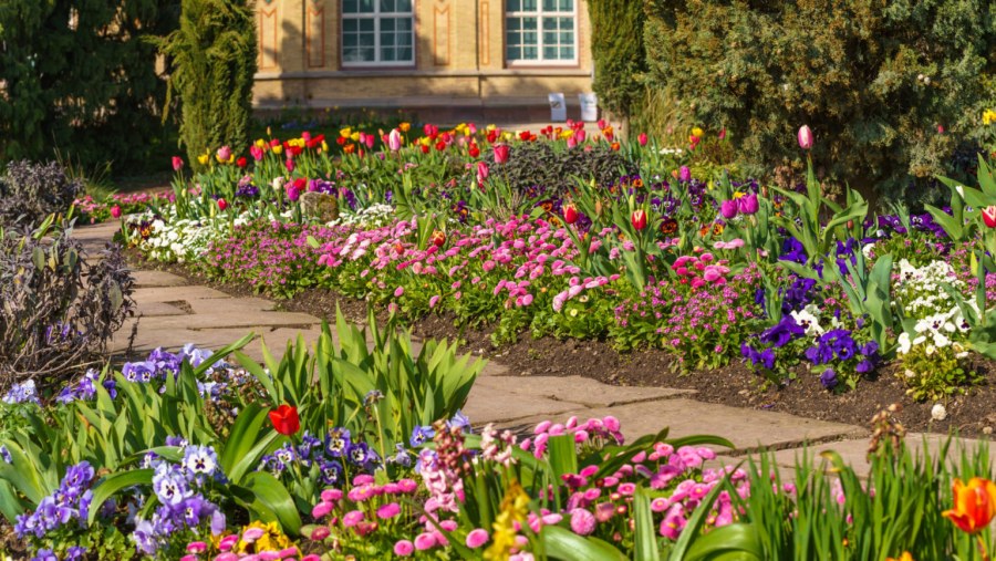 Газон вдоль дорожки