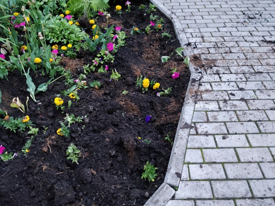 Garden Шитх бордер