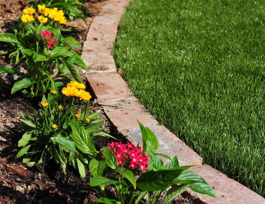 Розарий с лавочкой