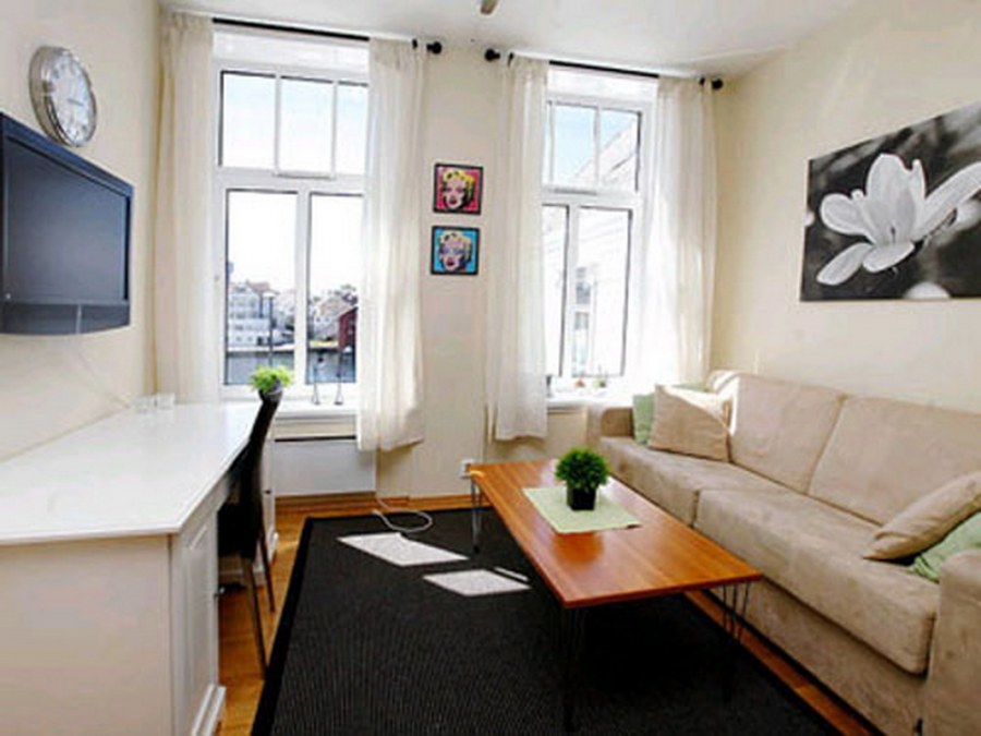 Интерьер длинной комнаты с двумя окнами