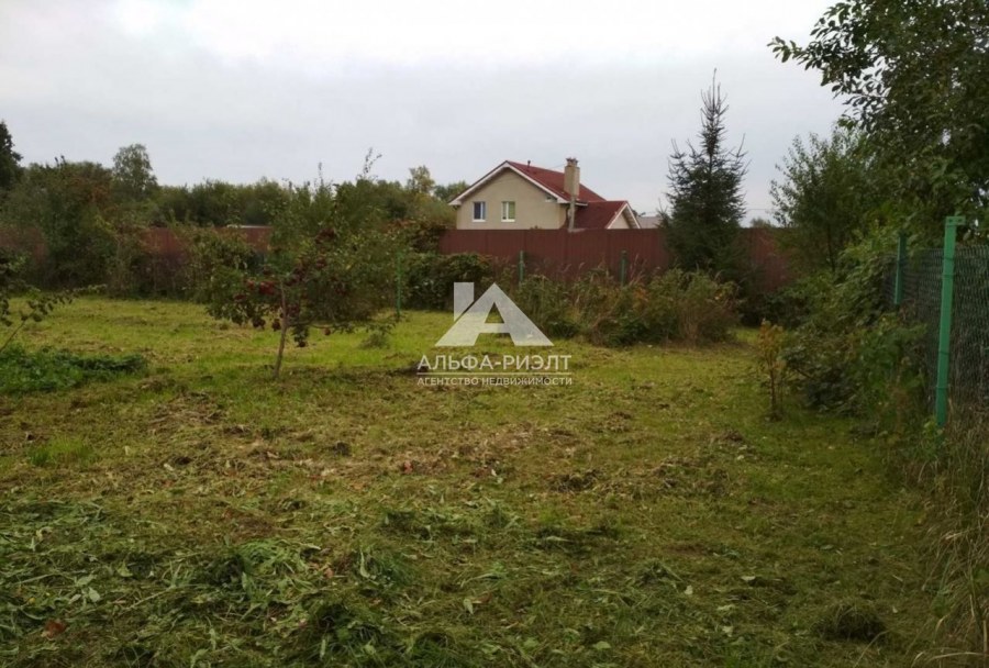 Духовец Курск