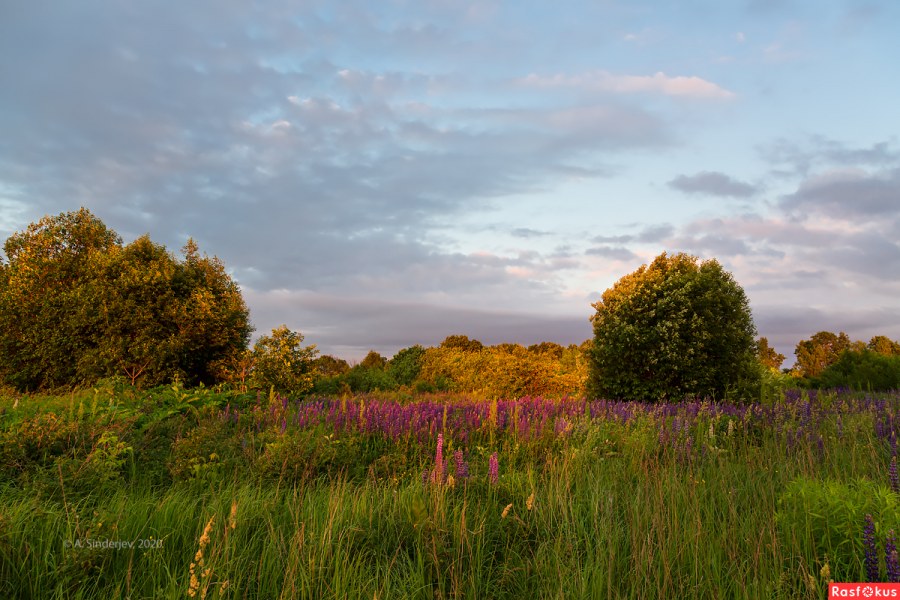 Донские просторы агентство недвижимости Донской Тульской области