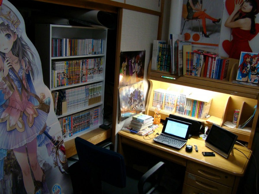 Комната подростка АНИМЕШНИКА