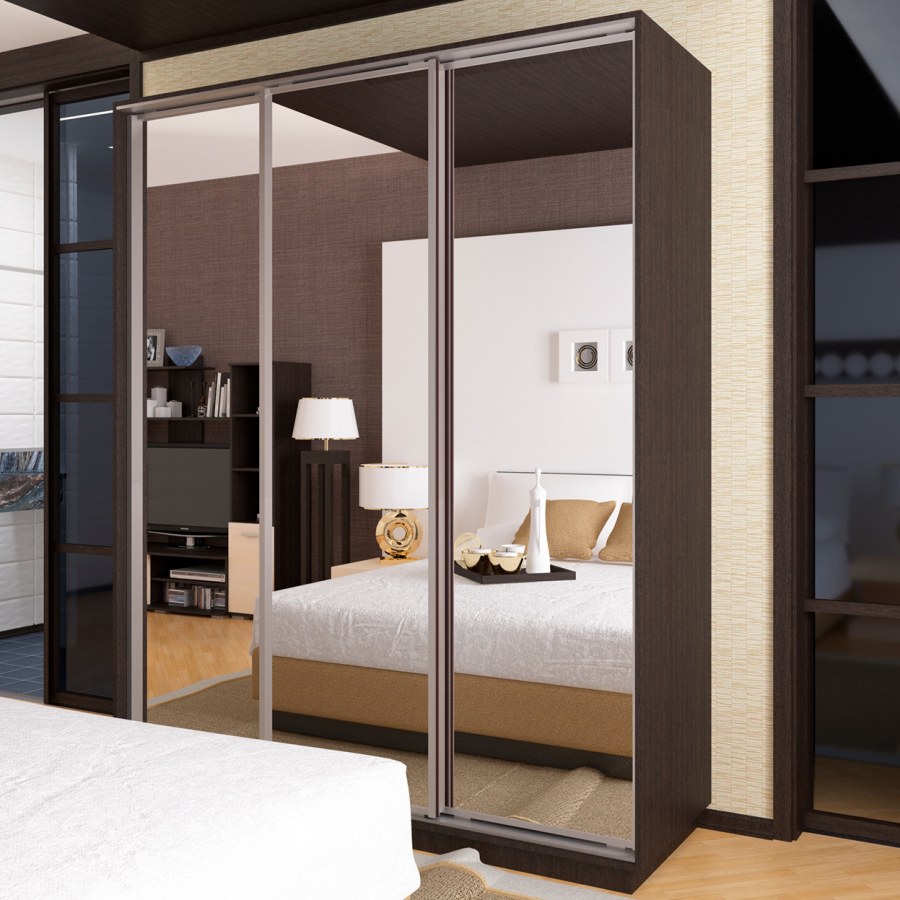 Шкаф купе Ника 5