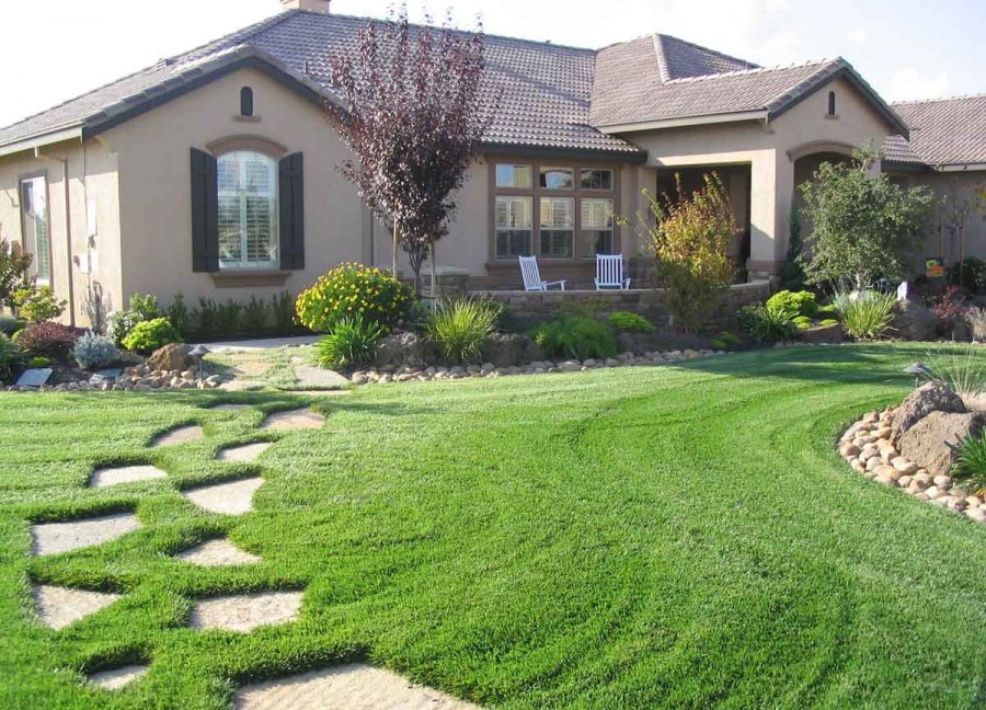 Ландшафт гуллари