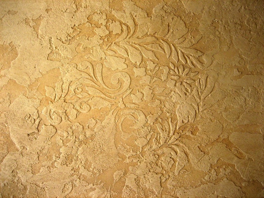 Короед венецианка