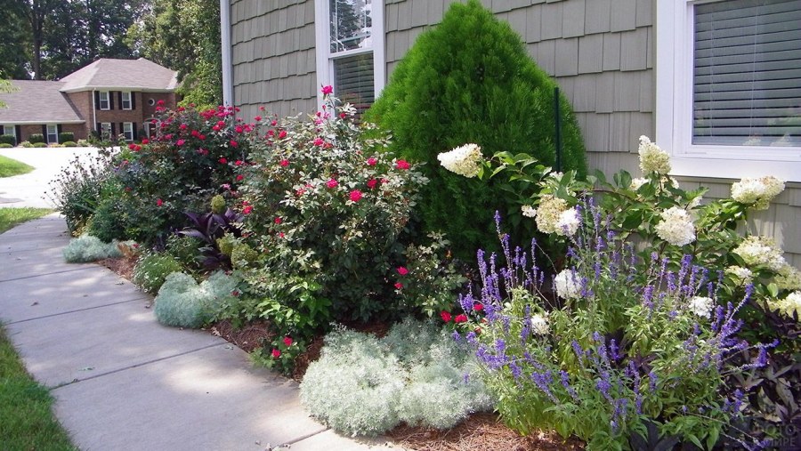 Квадратная клумба перед домом