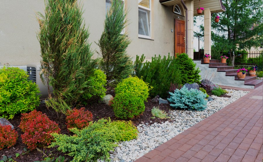 Миксбордеры в палисаднике