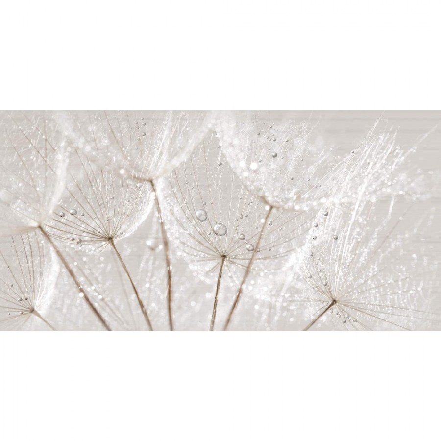 Avangarde вставка серый (av2l091dt) 29,8x59,8