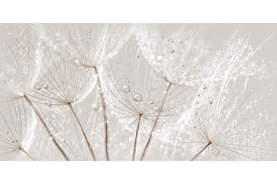 Av2l091dt Avangarde вставка