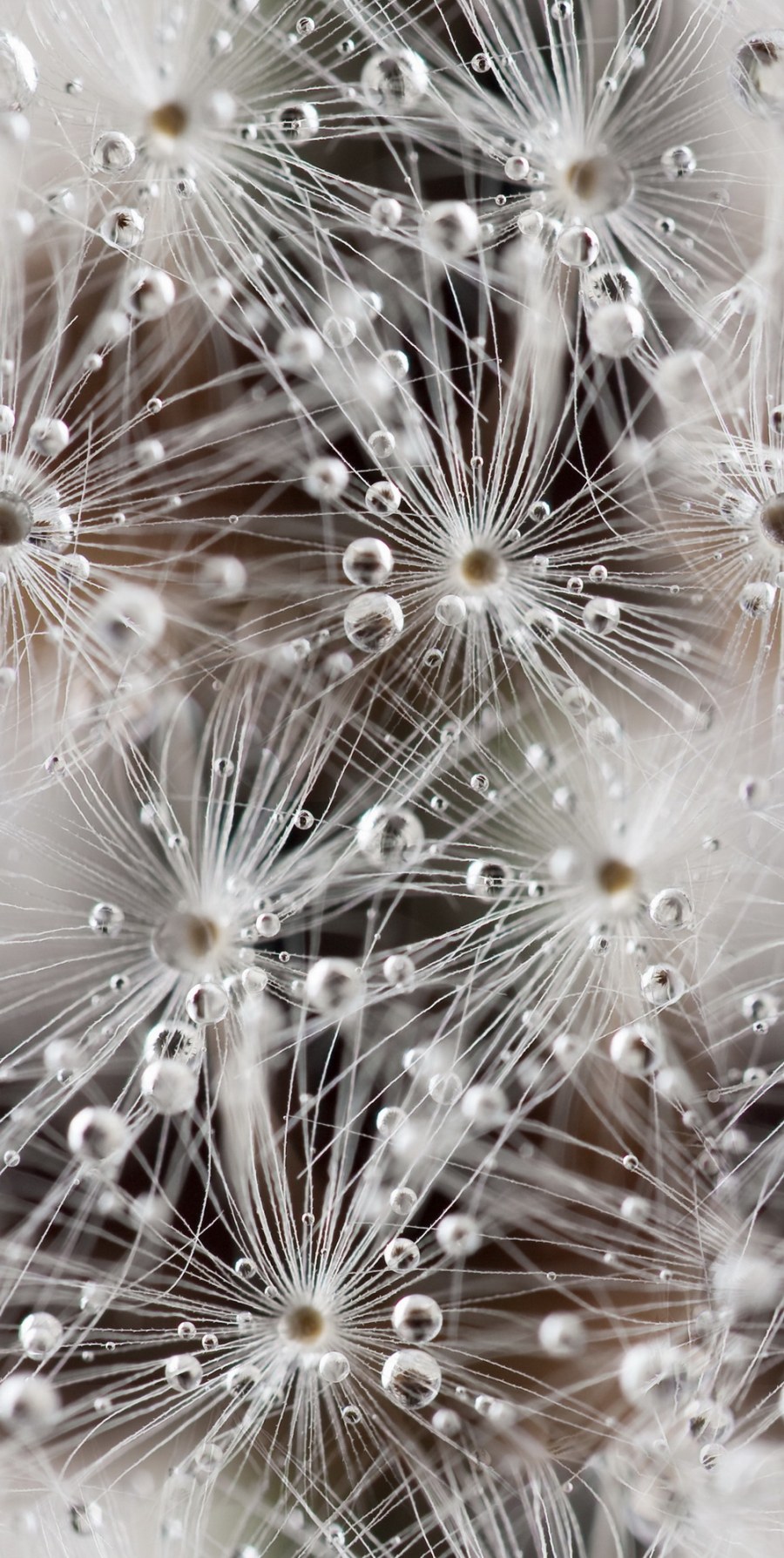 Керамин концепт 7с 500x200