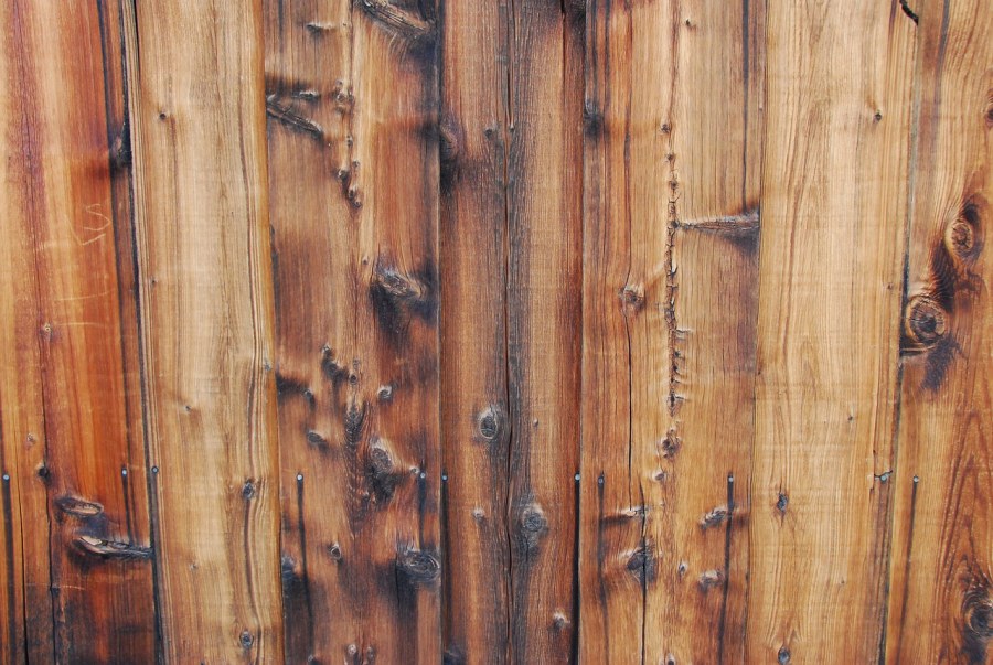 Дом дерево в Сиэтле