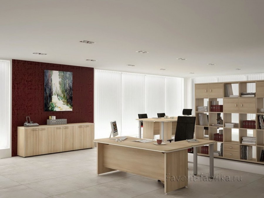 Офисная мебель Focus Director defo