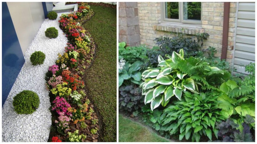 Длинная прямоугольная клумба в тени