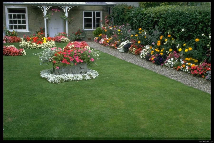 Клумба на газоне