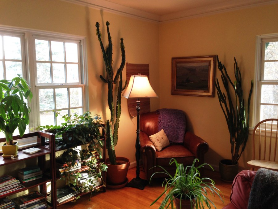 Фен шуй интерьер квартиры