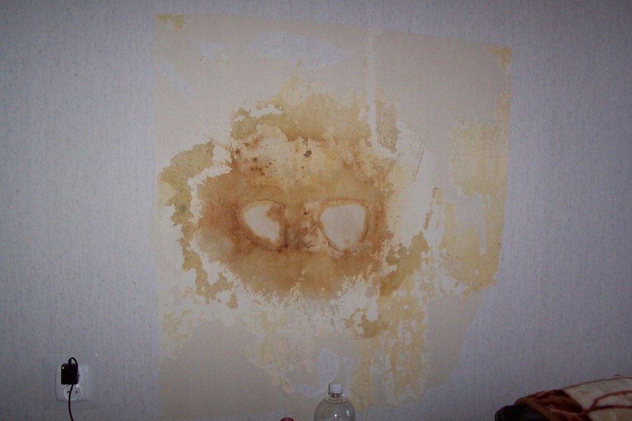 Пятно на стене