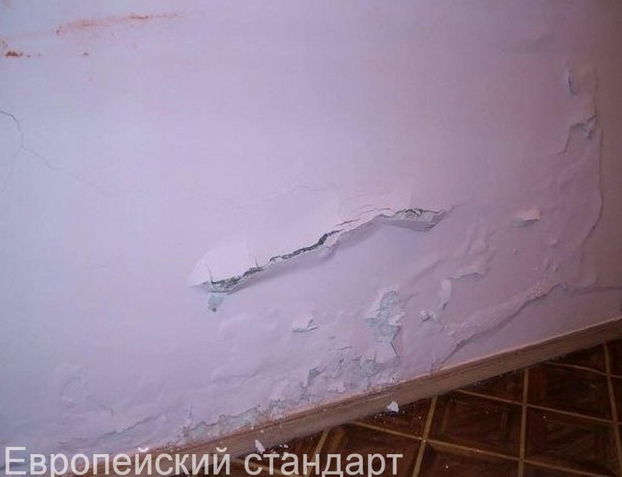 Грибок на штукатурке