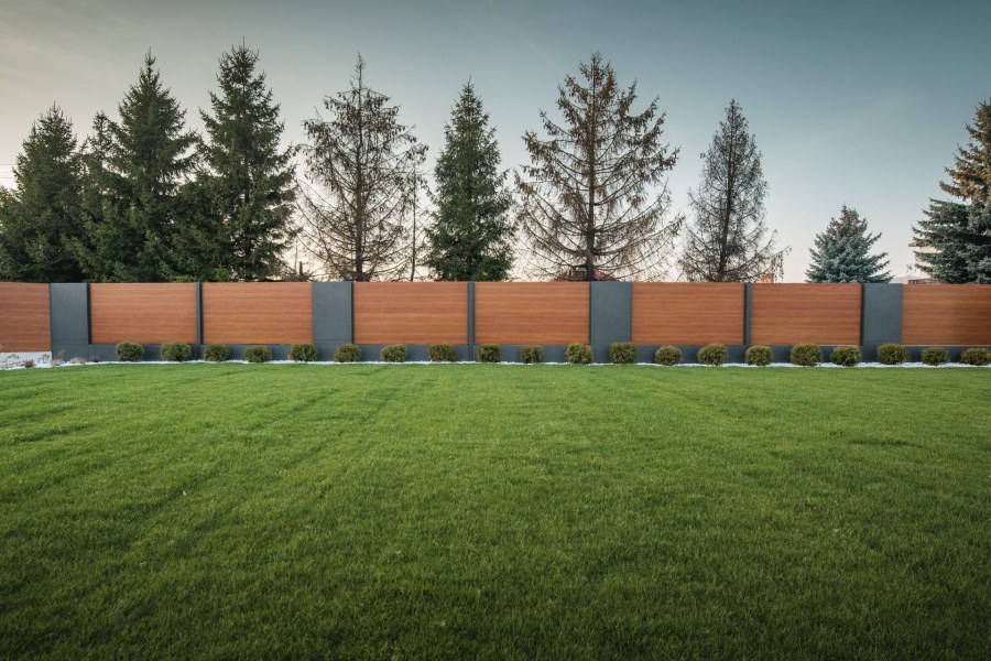 Забор Сканди