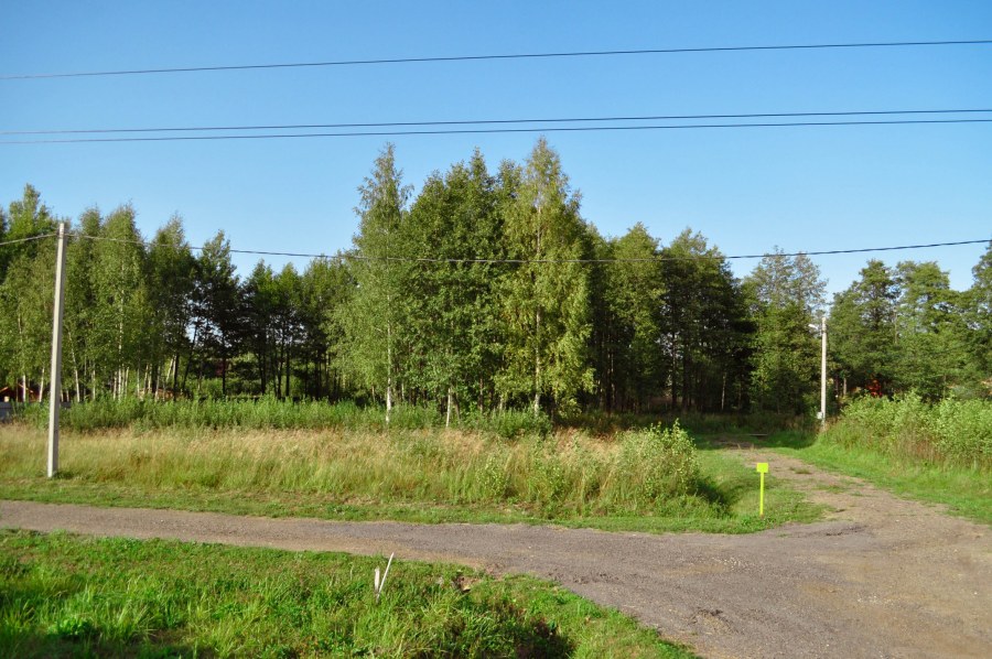 Восточный сад Сочи