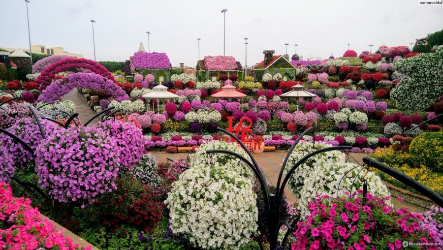 Краснодар проведение свадеб