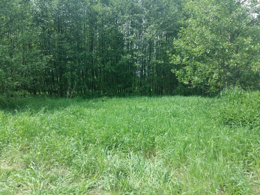 Деревня Минино Раменского района