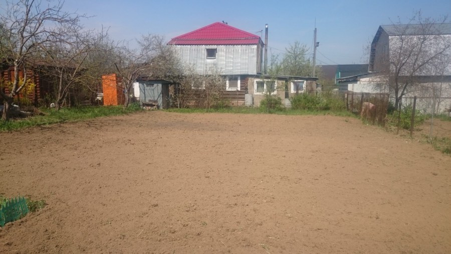 Сафоново питомник Раменское