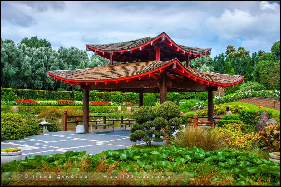 Вишневый сад на участке