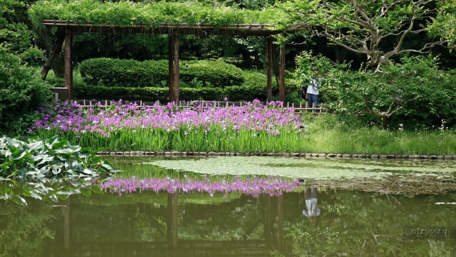 Аэродром Минино Клинского района