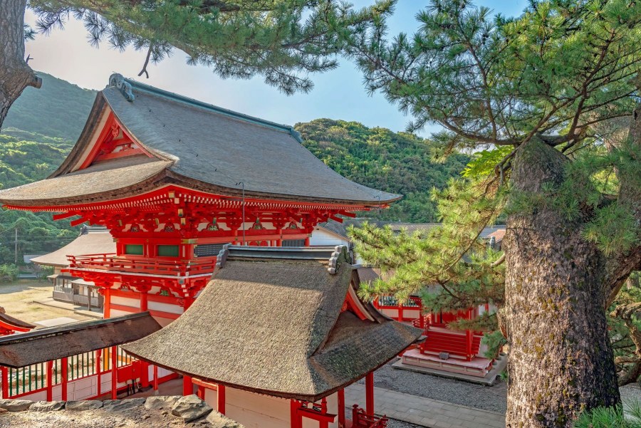 Храм Идзумо тайся внутри