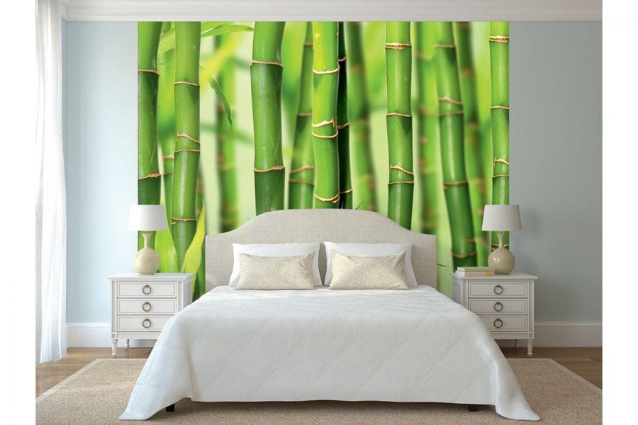 Бамбук в интерьере