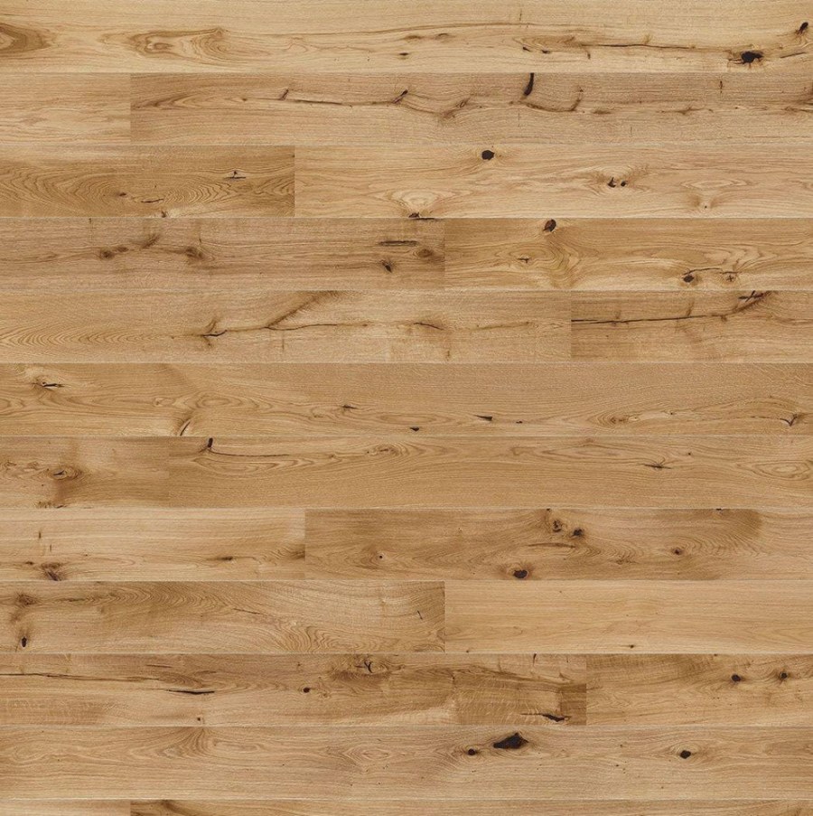 Дуб Cheer Барлинек