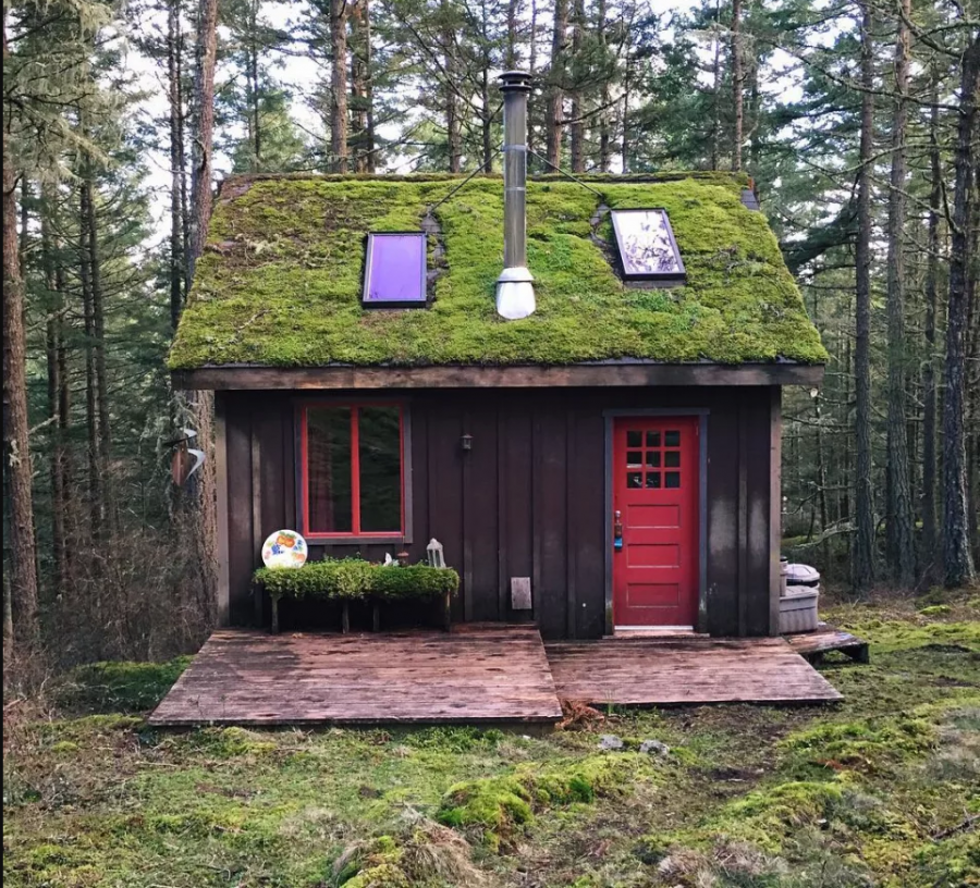 Лесная Хижина Норвегия