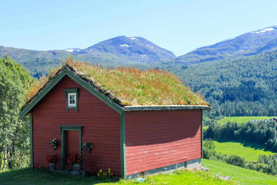 Зеленые крыши Норвегии