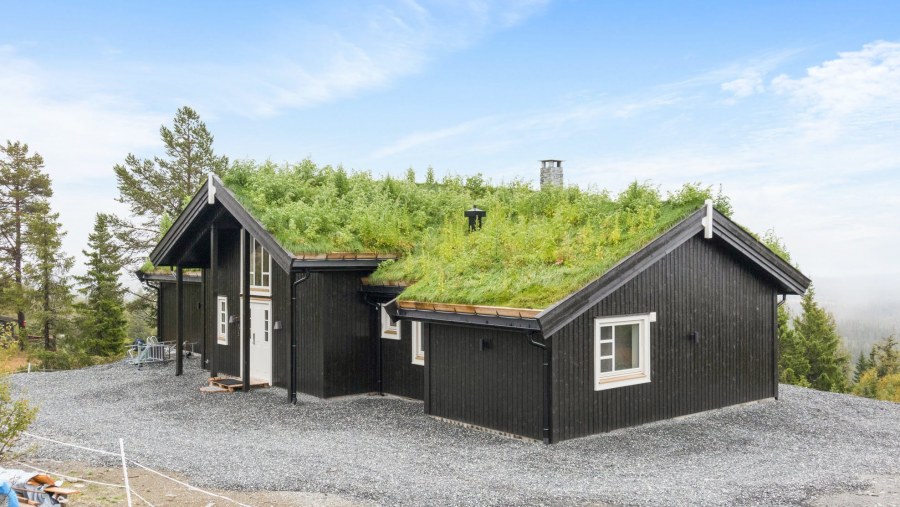 Норвежский дом с корнями