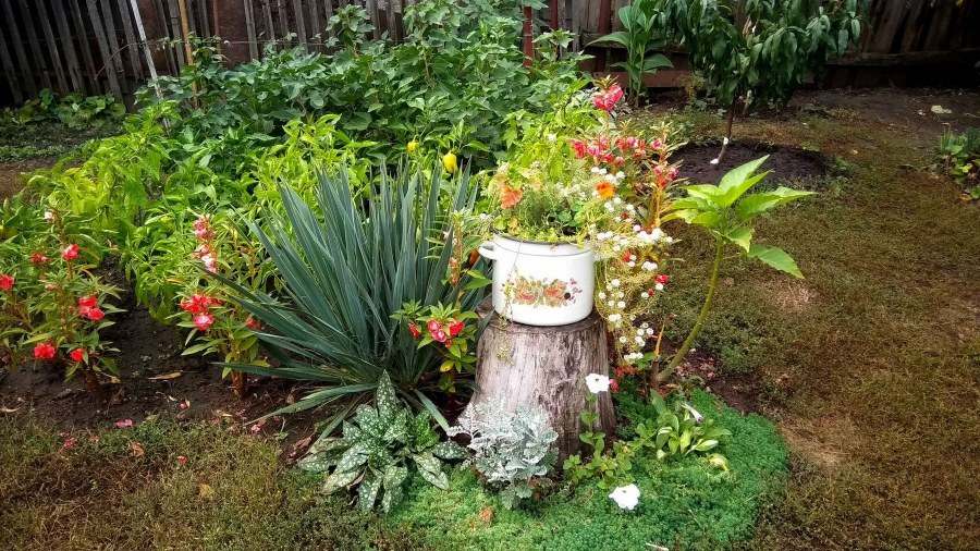 Фото дачника блогера