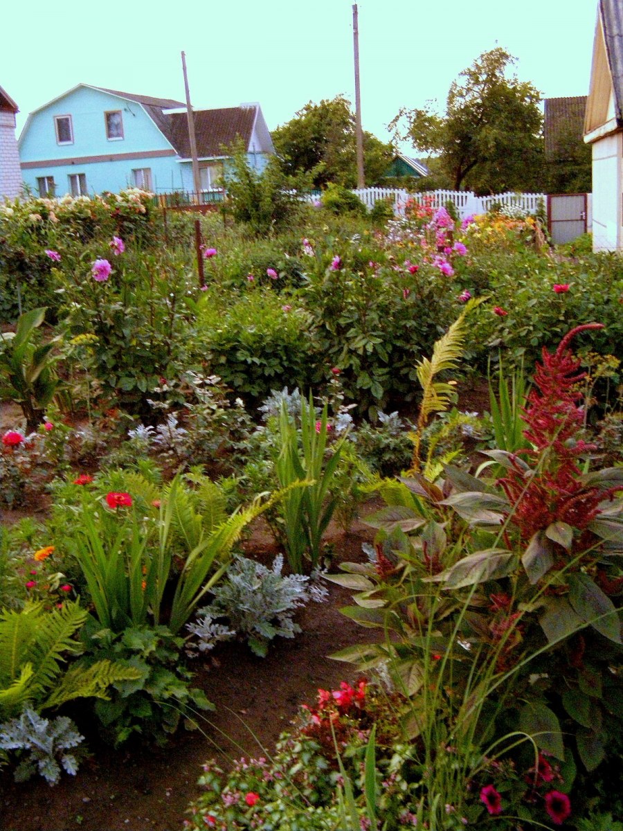 Клумбы на даче реальные