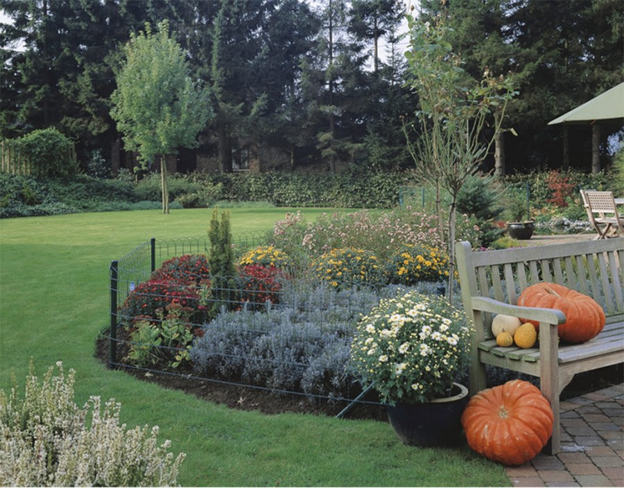 Сад несложный в уходе