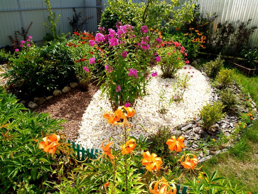 Мои красивые дачные клумбы